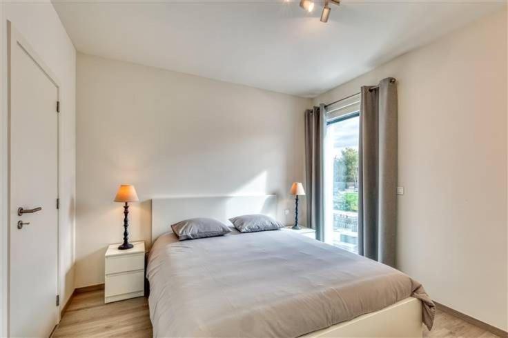 Splendide Appartement Au Centre De Liege - Complexe Paradis Express Eksteriør bilde